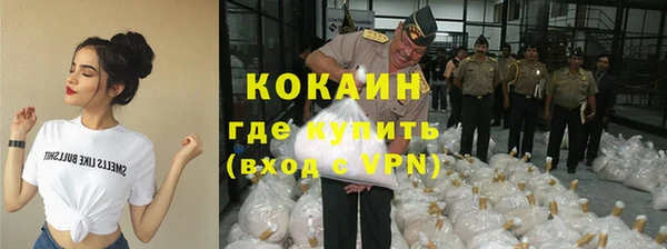 индика Магас