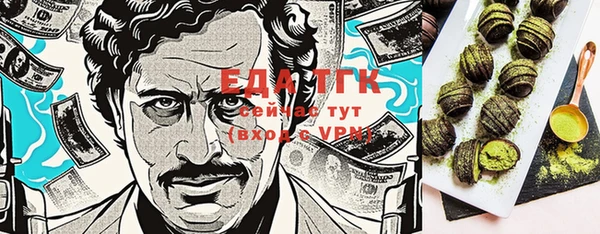 индика Магас
