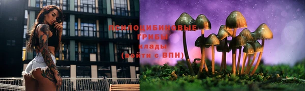 PSILOCYBIN Магадан