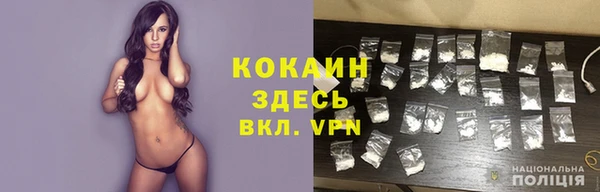 крисы Балахна