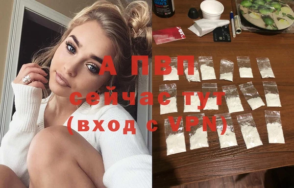 индика Магас