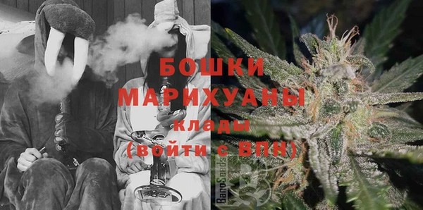 индика Магас
