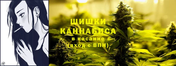 индика Магас