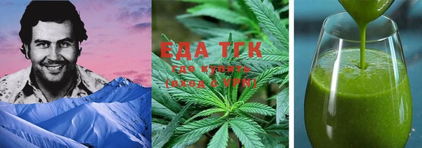 индика Магас