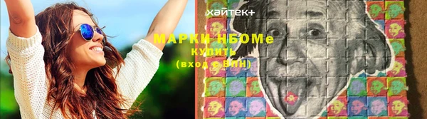 индика Магас