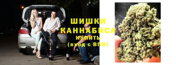 индика Магас