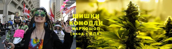 индика Магас