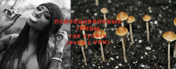 PSILOCYBIN Магадан